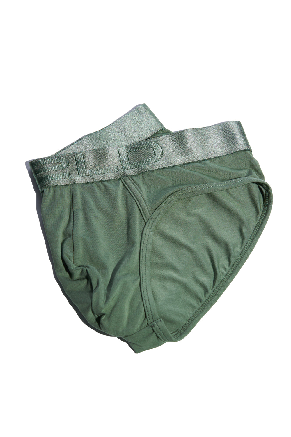 FORTE BRIEF - SAGE